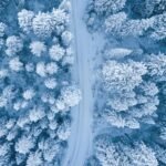 A mesmerizing aerial perspective of a snowy winter forest with a winding path.