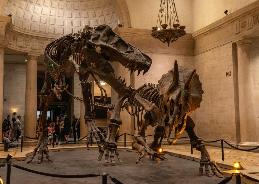 Explore towering dinosaur fossils at the Los Angeles Natural History Museum.