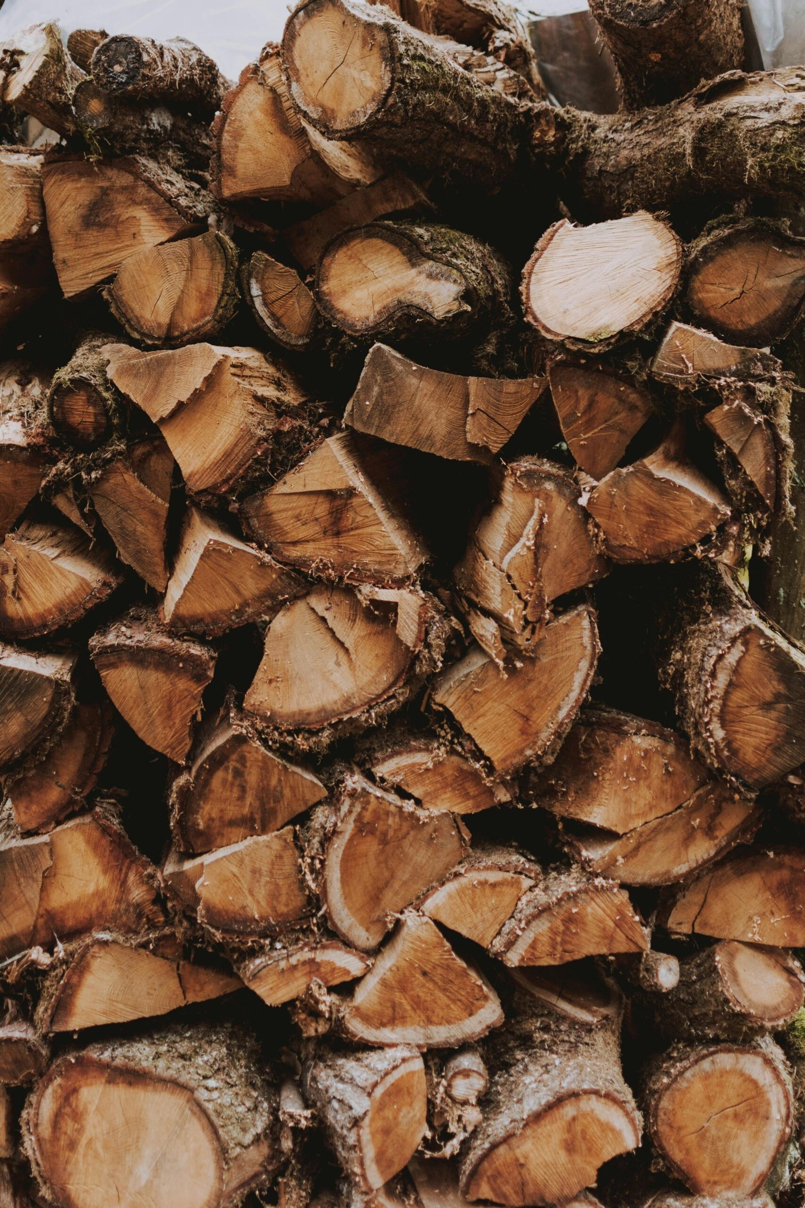 Pile of stacked logs in a rural woodland area used for timber and firewood.