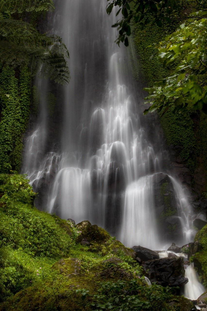 waterfall, water, tree, moss, nature, scenery, natural